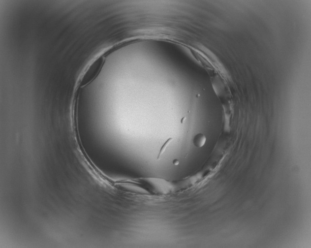 X0000073981196200609111800