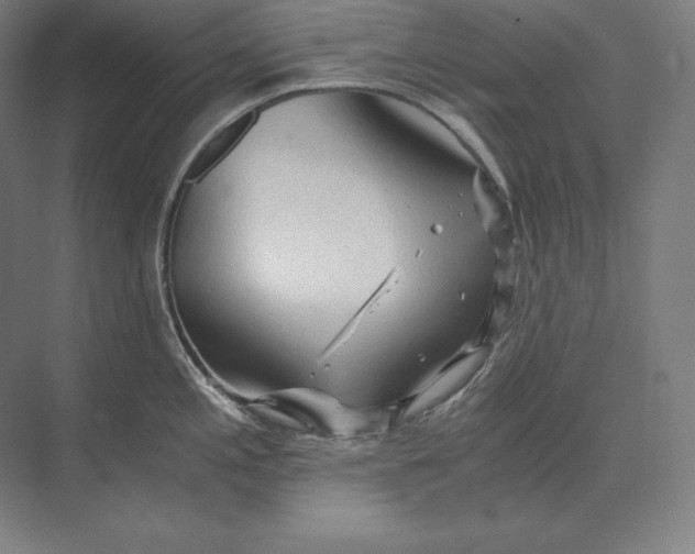 X0000073981197200609111800