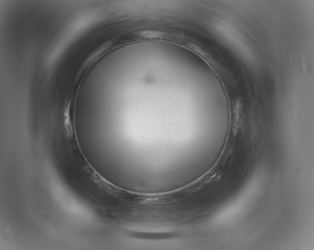 X0000073981198200609111800