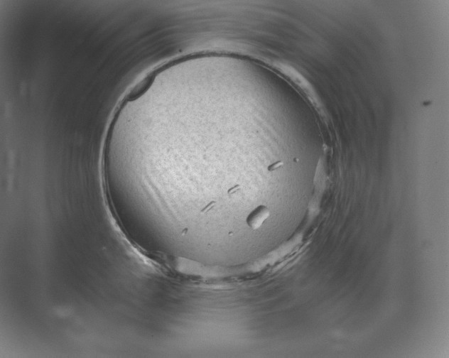 X0000073981199200609111800