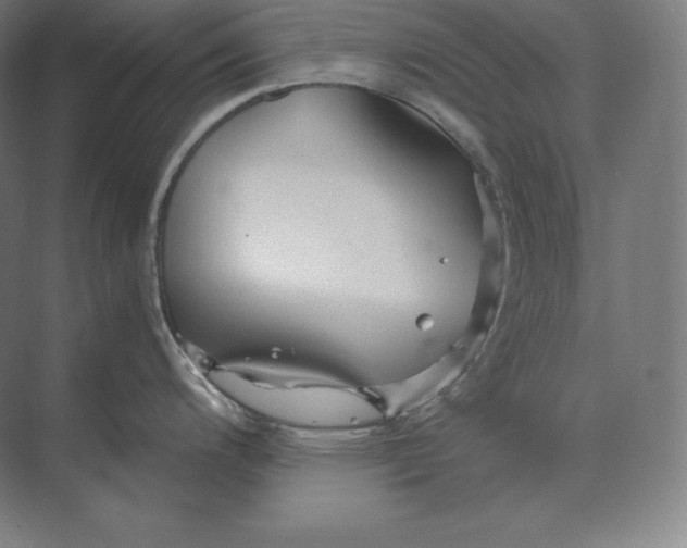 X0000073981200200609111759