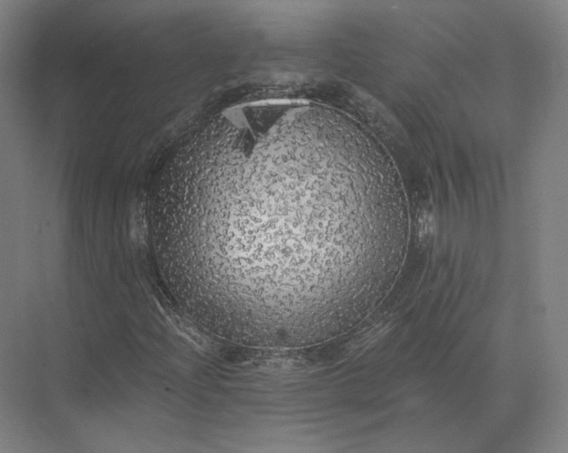 X0000073981204200609111759