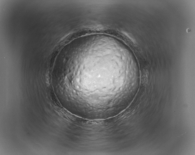 X0000073981205200609111759