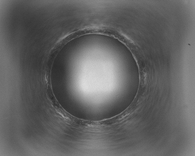 X0000073981206200609111759