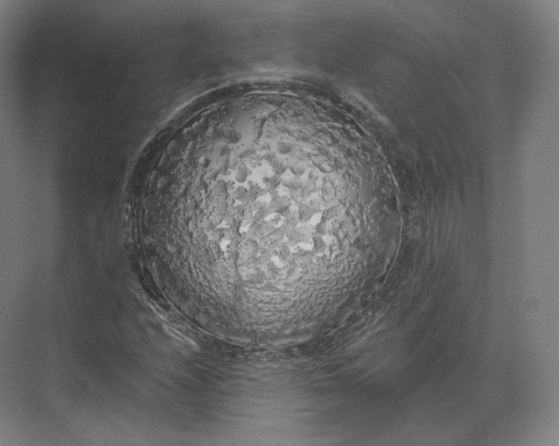 X0000073981208200609111759