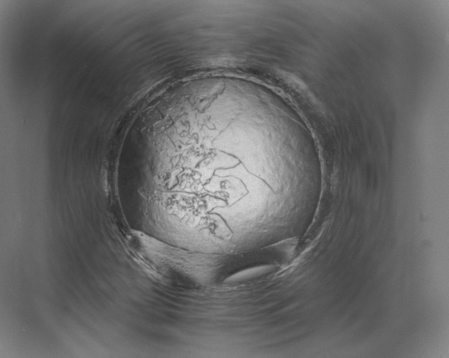 X0000073981209200609111759