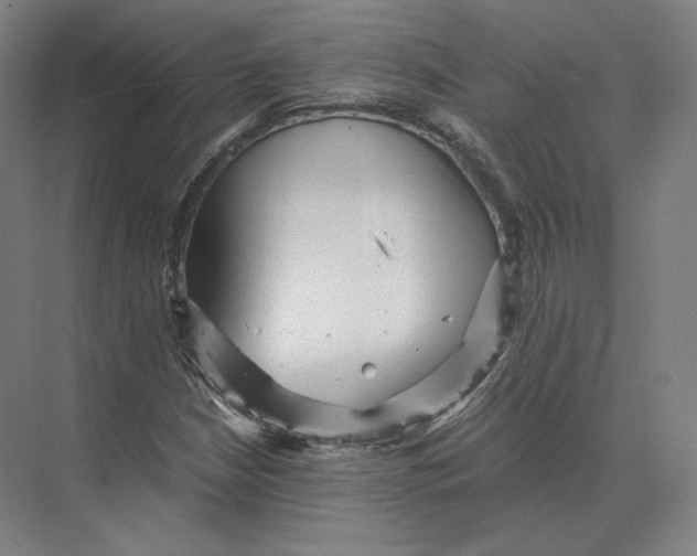 X0000073981210200609111759