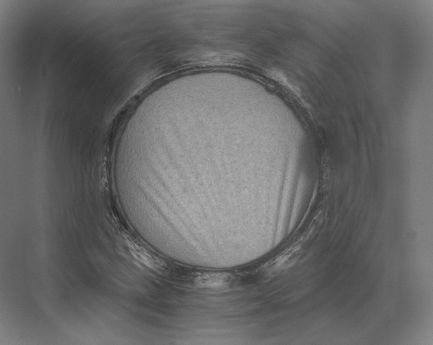 X0000073981211200609111759