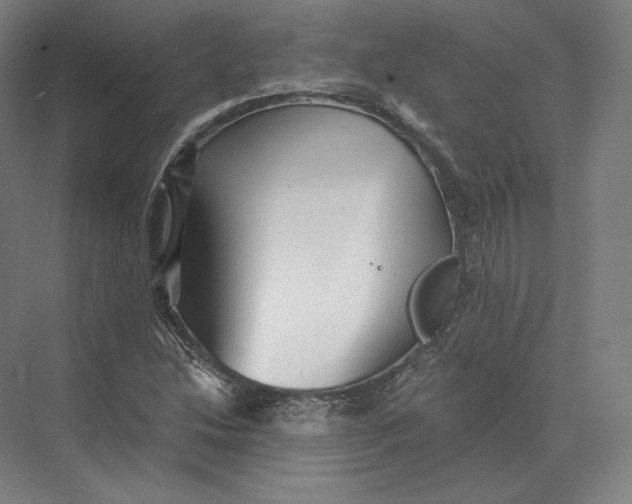 X0000073981214200609111759