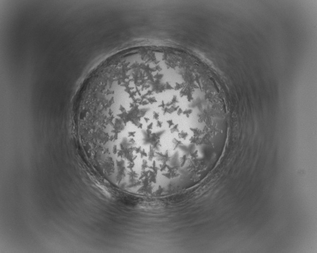 X0000073981215200609111759