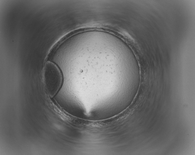 X0000073981216200609111759