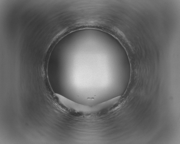 X0000073981218200609111759