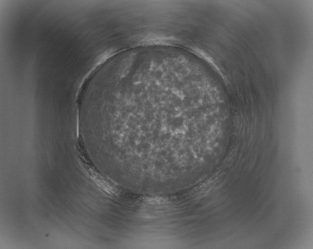 X0000073981219200609111759