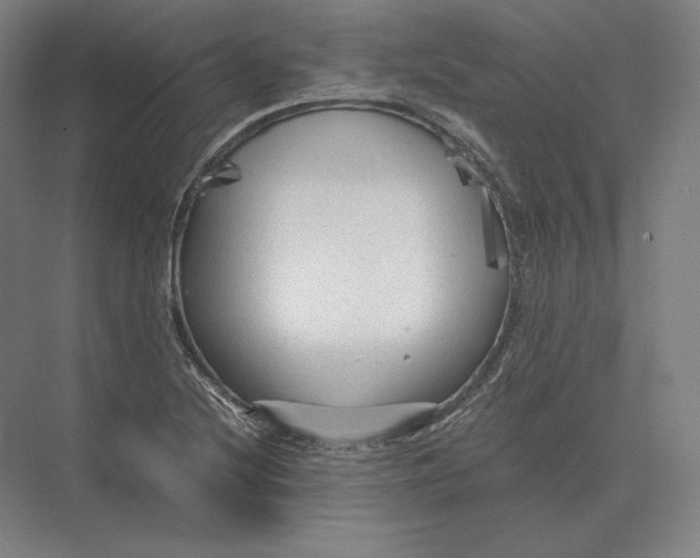 X0000073981220200609111759