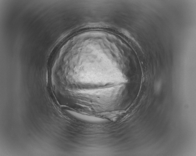 X0000073981221200609111759