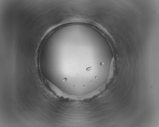 X0000073981222200609111759