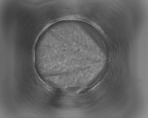 X0000073981224200609111759