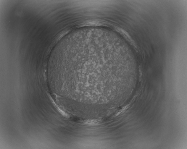 X0000073981225200609111759