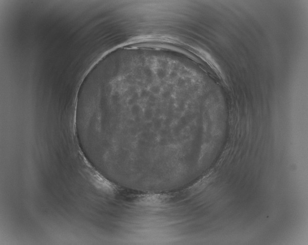 X0000073981228200609111759