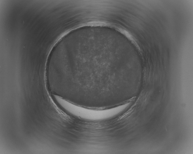 X0000073981229200609111759