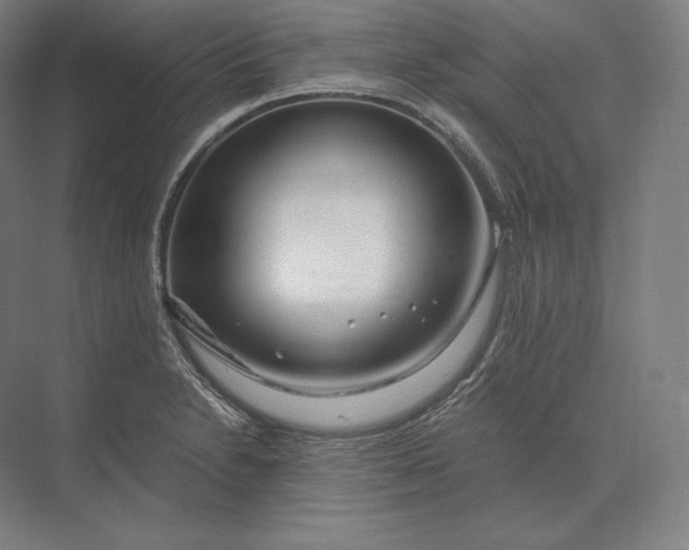 X0000073981230200609111759