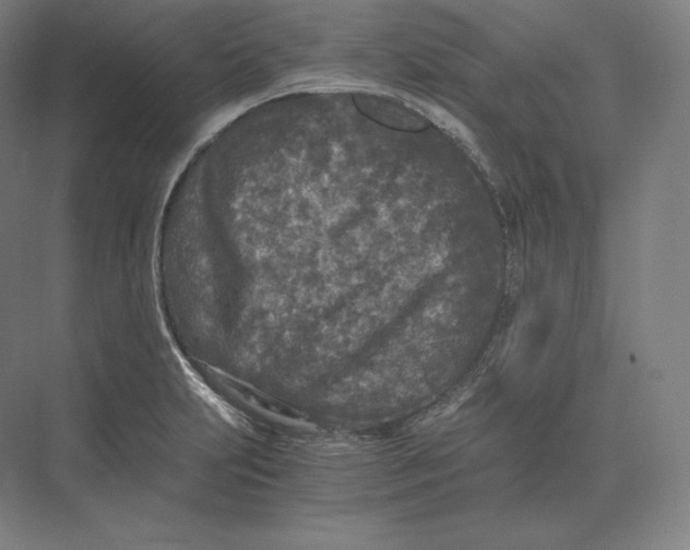 X0000073981231200609111759