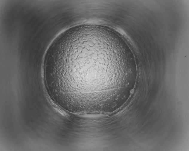 X0000073981232200609111759