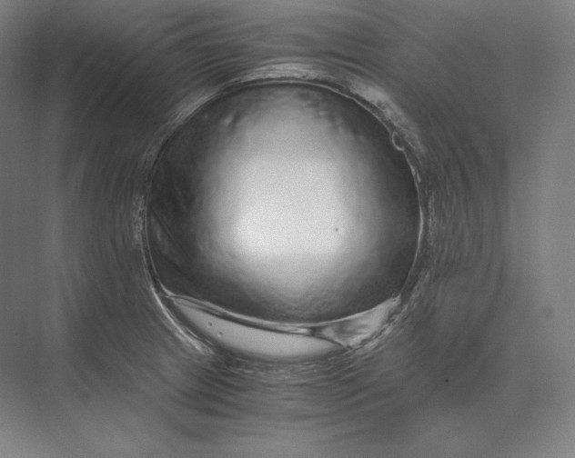 X0000073981233200609111759