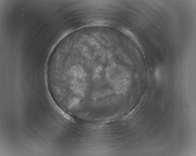 X0000073981235200609111759