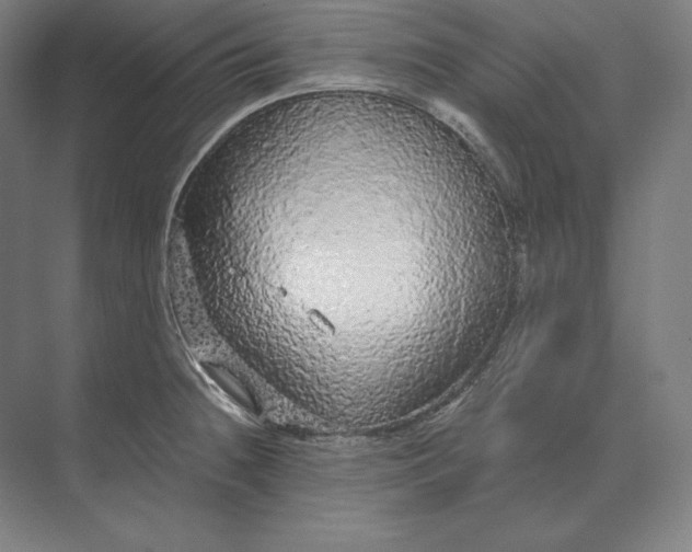 X0000073981236200609111759