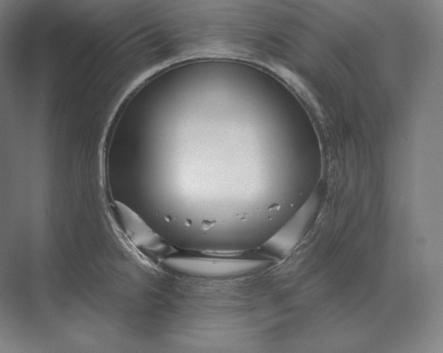 X0000073981238200609111759