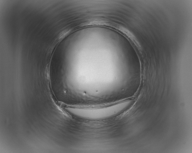 X0000073981241200609111759