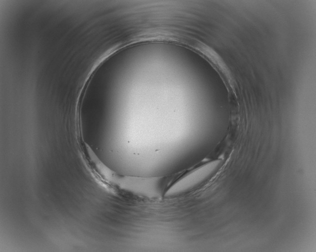 X0000073981242200609111759