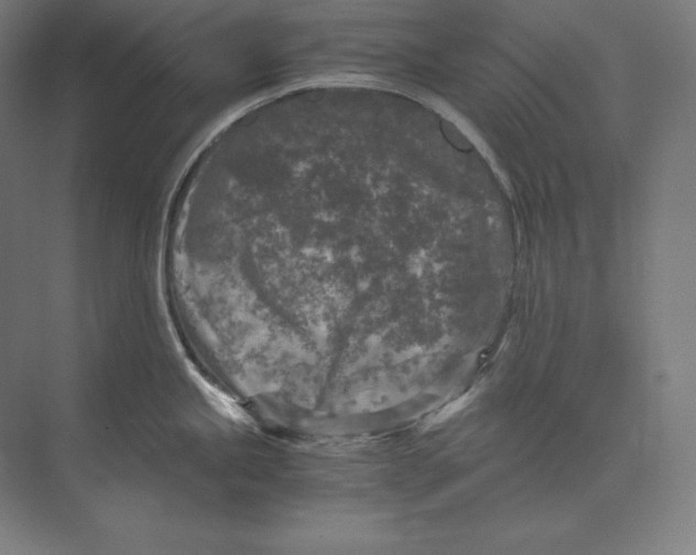 X0000073981245200609111759