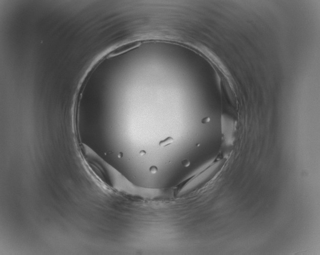 X0000073981246200609111759