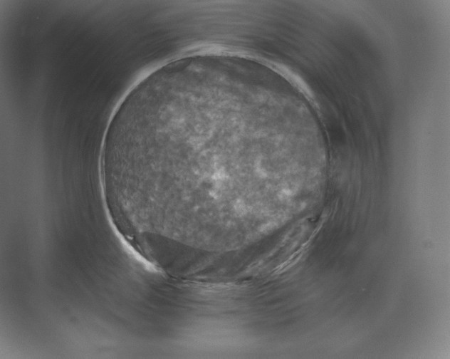 X0000073981247200609111759