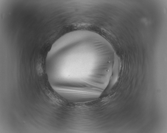 X0000073981250200609111759