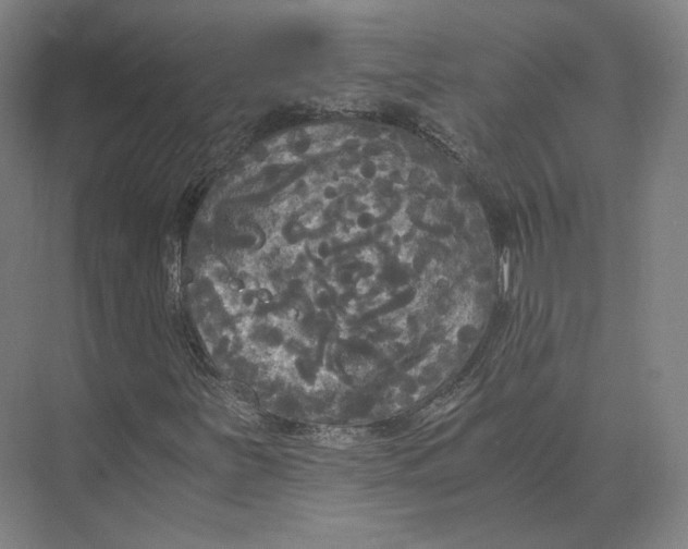 X0000073981251200609111759