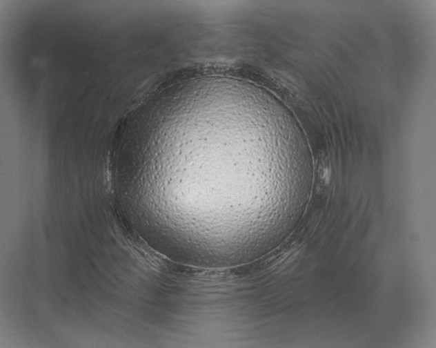 X0000073981252200609111759