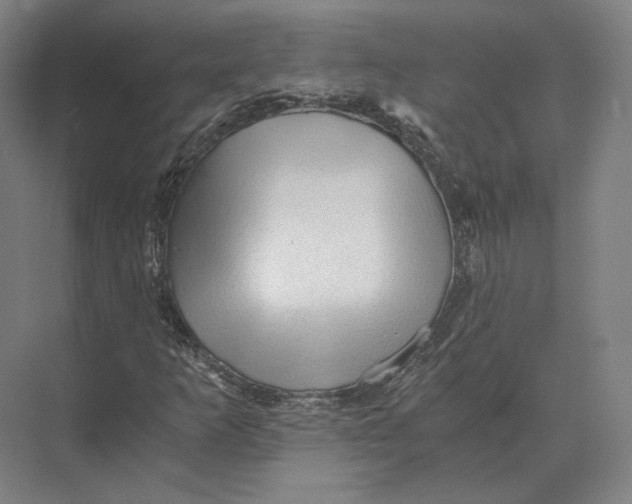 X0000073981253200609111759