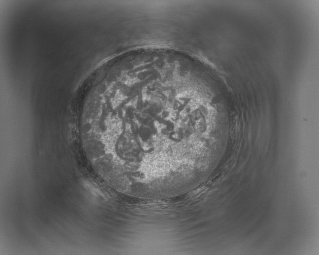 X0000073981255200609111759