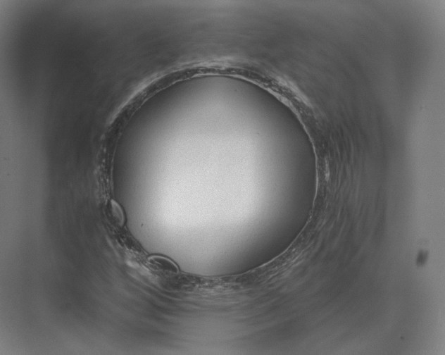 X0000073981256200609111759