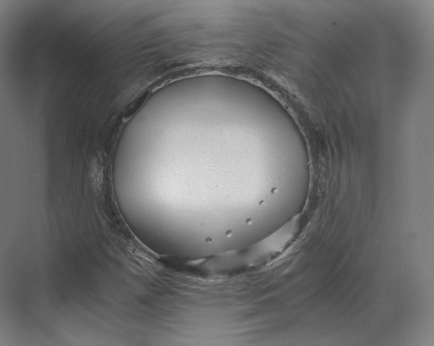 X0000073981257200609111759