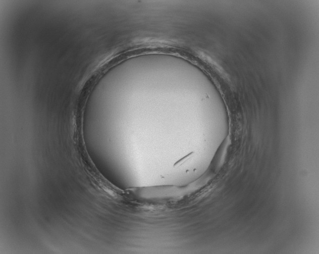 X0000073981261200609111758