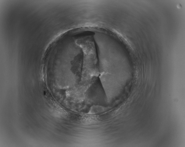 X0000073981262200609111758