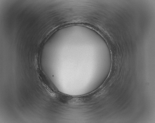 X0000073981265200609111758