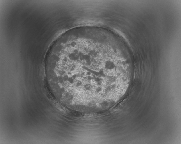 X0000073981267200609111758