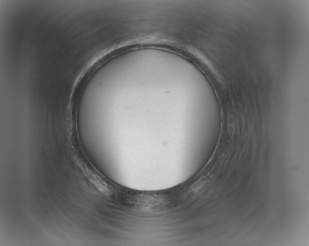 X0000073981270200609111758