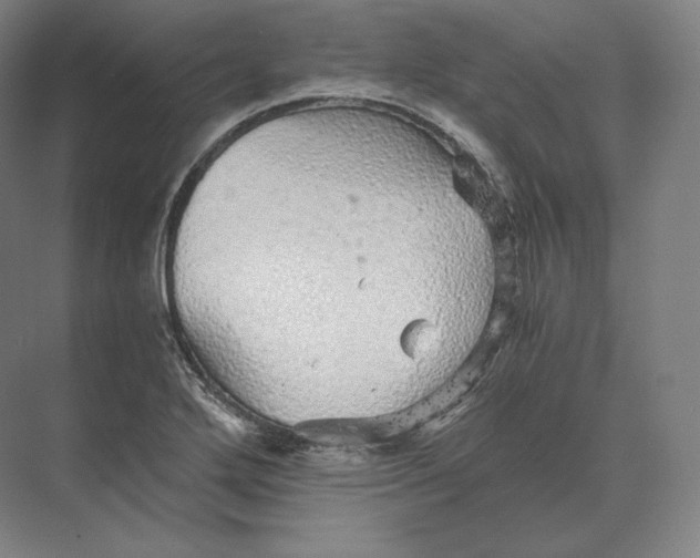 X0000073981272200609111758