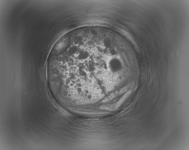 X0000073981275200609111758